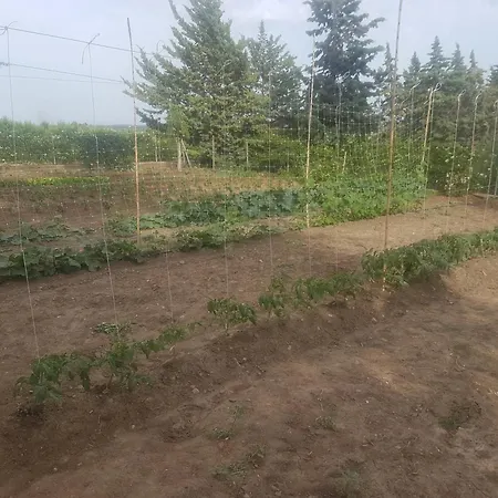 Masseria Novelli Frühstückspension 3*