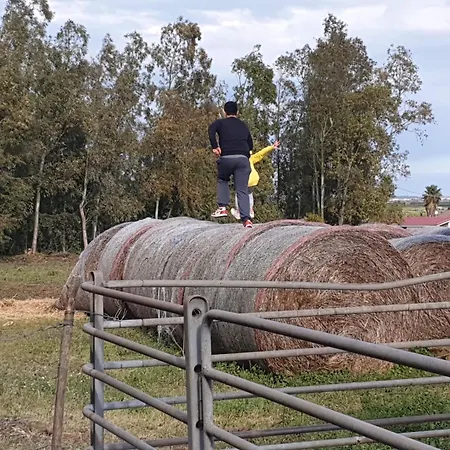 Masseria Novelli Cassano allo Ionio