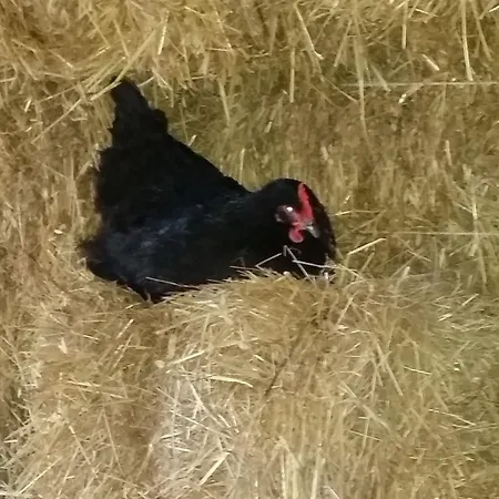 Masseria Novelli Frühstückspension Cassano allo Ionio