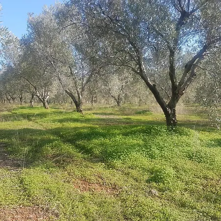 Masseria Novelli *