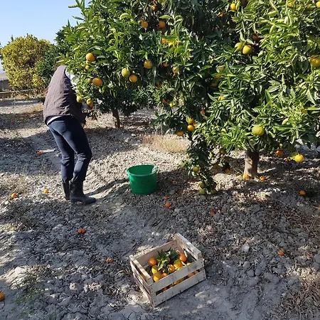 Bed and breakfast Masseria Novelli