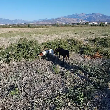 Nocleg ze śniadaniem Masseria Novelli