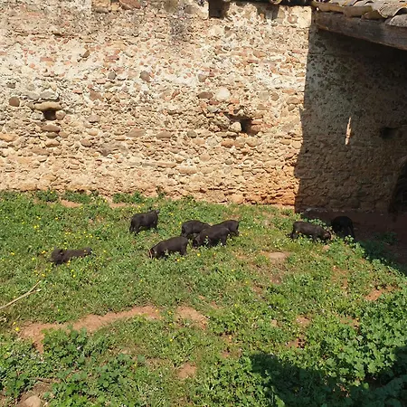 Masseria Novelli