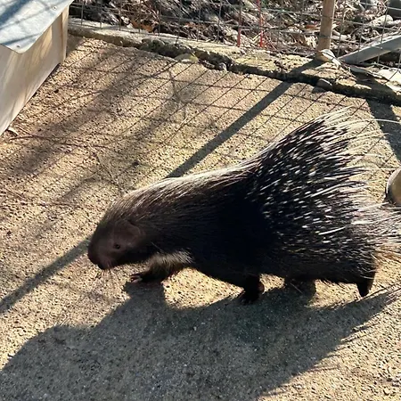 Bed & Breakfast Masseria Novelli