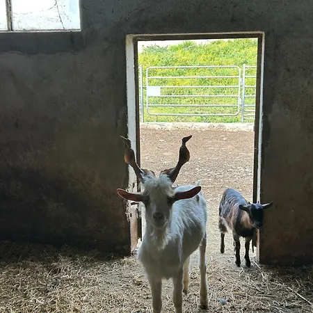 Masseria Novelli Cassano allo Ionio