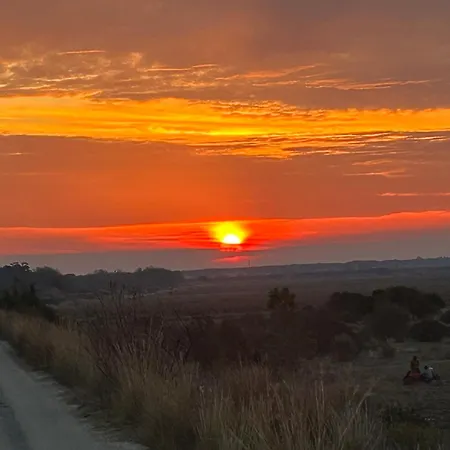 Nocleg ze śniadaniem Masseria Novelli