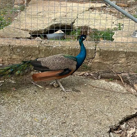 Masseria Novelli Cassano allo Ionio