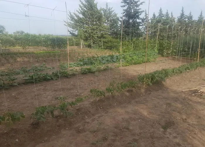 Masseria Novelli Bed & Breakfast 3*