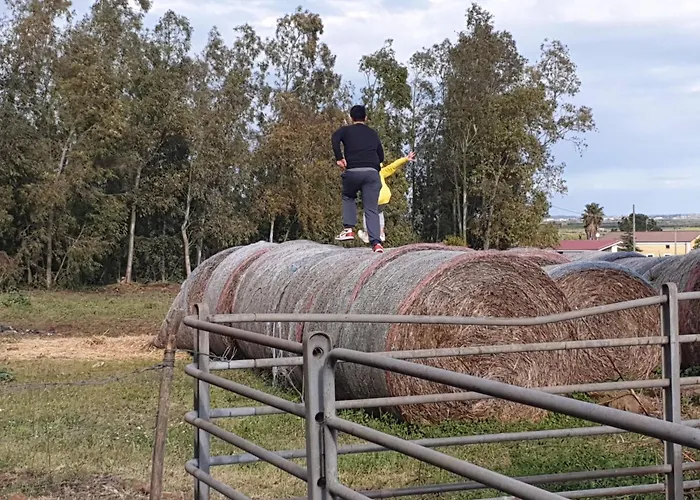 Masseria Novelli カッサーノ・アッロ・イオーニオ