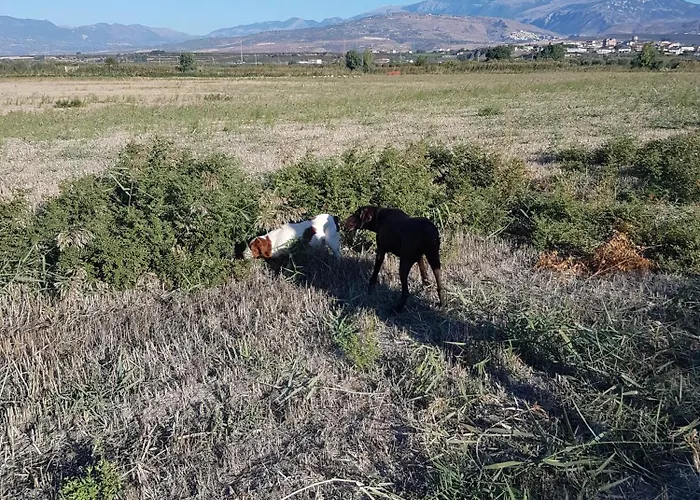 ベッド・アンド・ブレックファスト Masseria Novelli