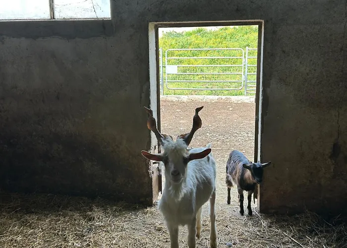 Masseria Novelli Cassano allo Ionio