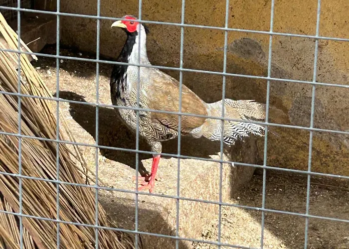 Masseria Novelli Bed & Breakfast 3*