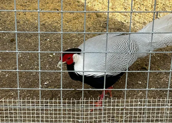 Masseria Novelli Bed & Breakfast 3*