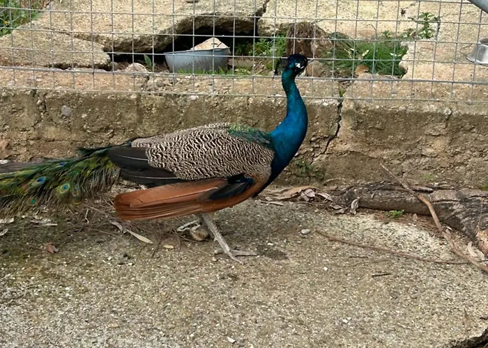 Masseria Novelli Cassano allo Ionio